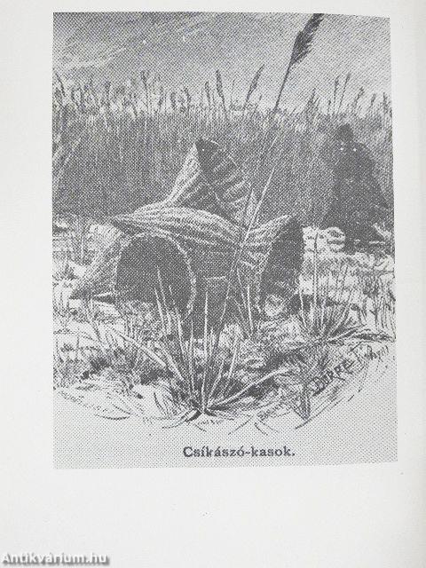 Írások Szeghalom múltjából