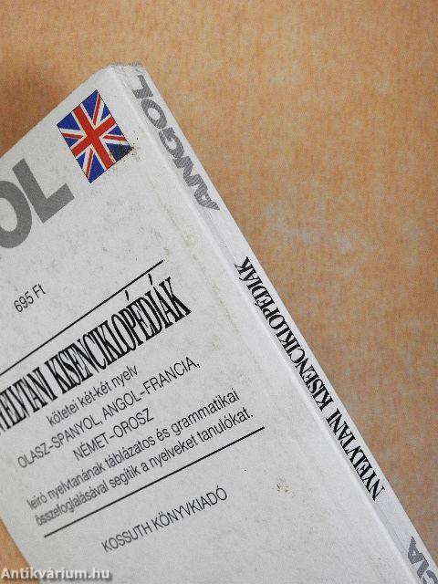 Nyelvtani kisenciklopédiák - Angol-francia