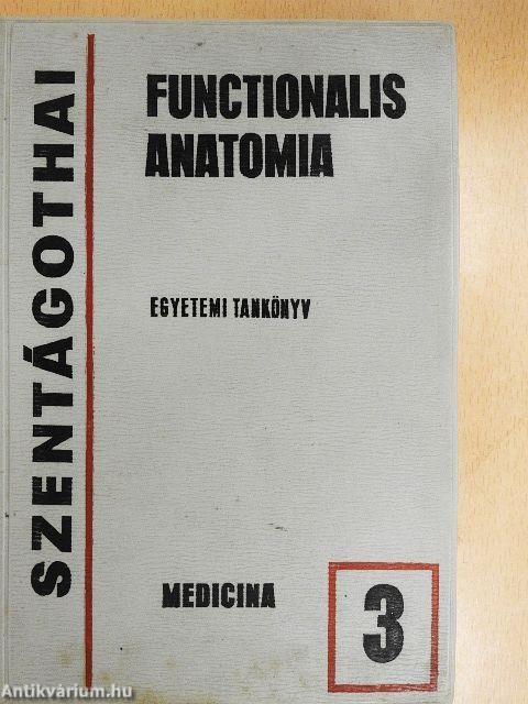 Functionalis anatomia 3.
