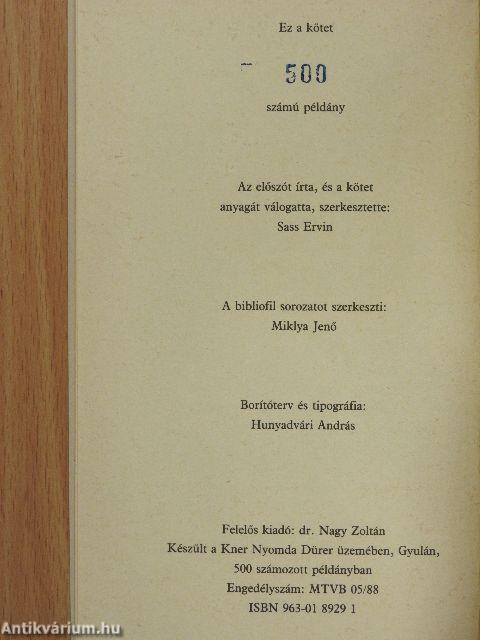 Mindig haza érkezem