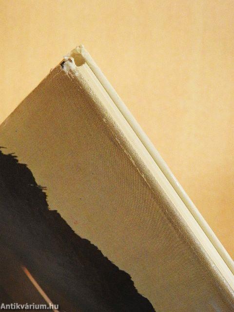 A Felső-Tiszavidék népi építészete