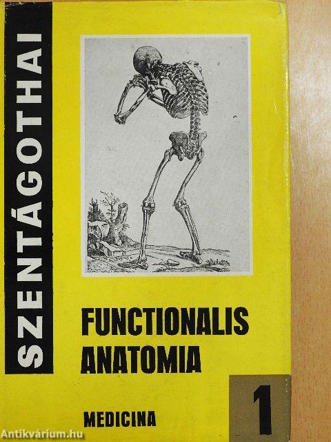 Functionalis anatomia 1-3.