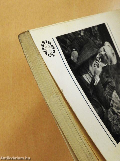 Roger Martin du Gard világa