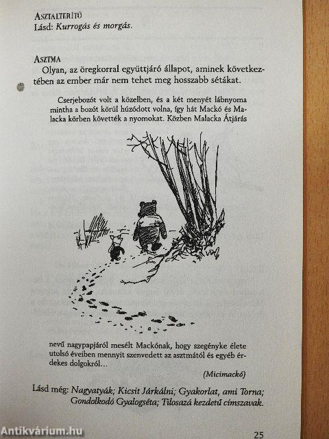 Micimackó Szótára