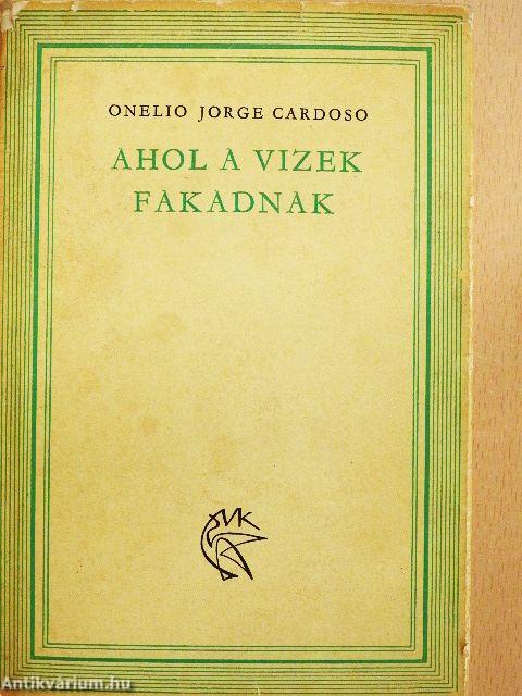 Ahol a vizek fakadnak