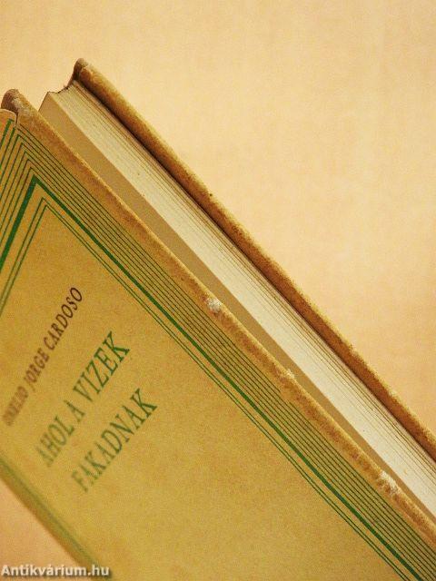 Ahol a vizek fakadnak