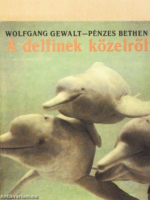 A delfinek közelről
