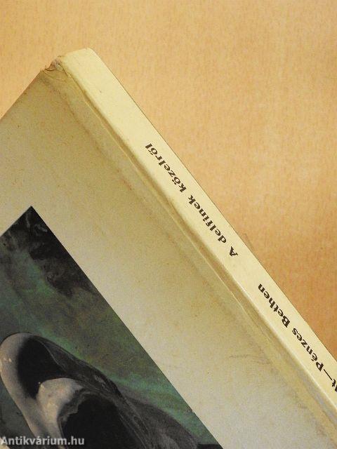 A delfinek közelről