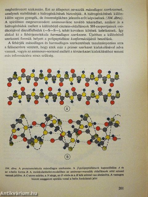 Növényélettan I.