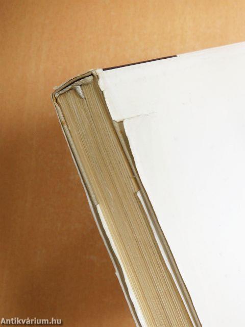 Világváros határában