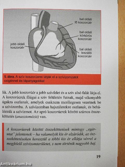 Koszorúér-betegségek