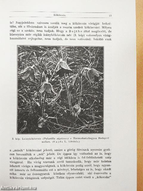 A magyarság virágai