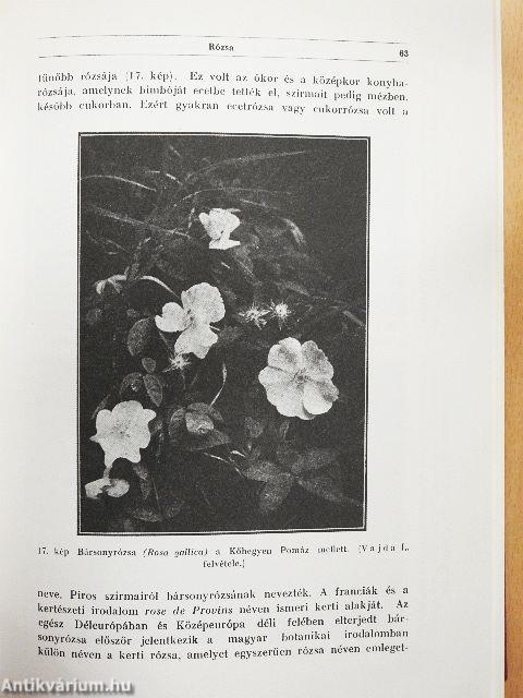 A magyarság virágai