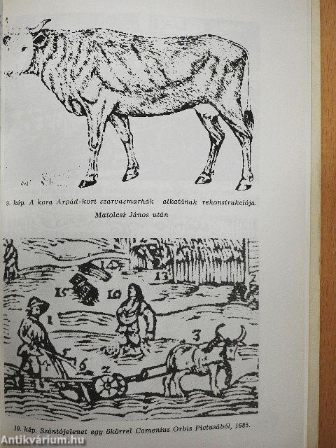 A magyar paraszti termelés igaerejének története