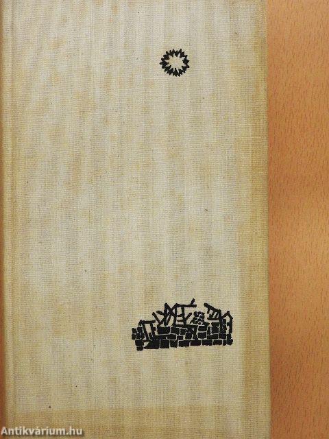 Csak egy éjszakára