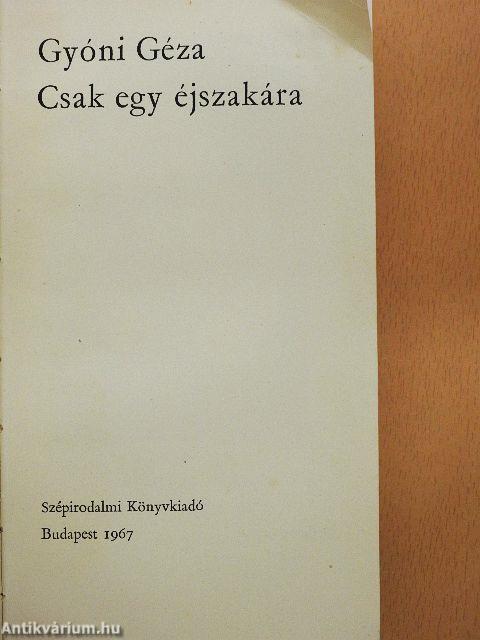 Csak egy éjszakára