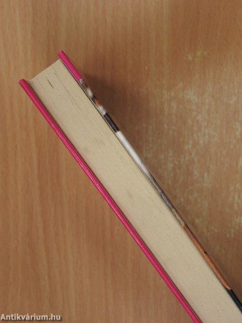 Árvíz Indiában 1-2.