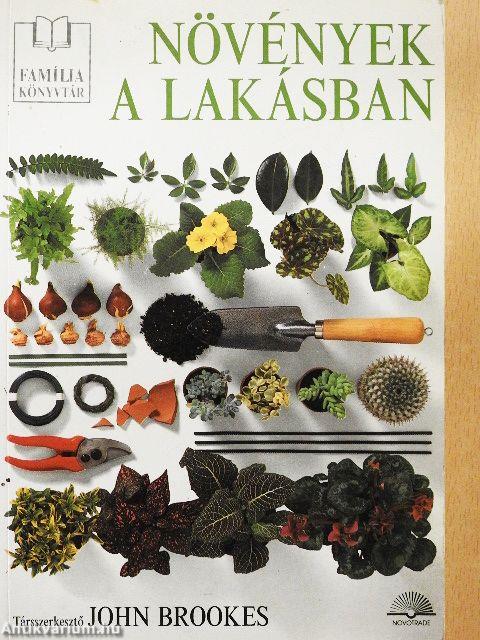 Növények a lakásban