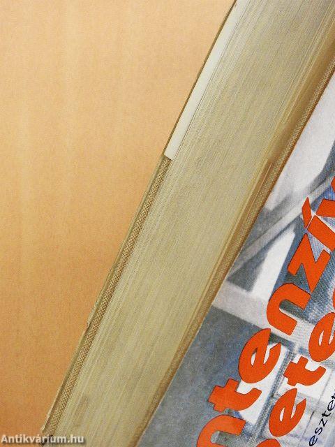 Intenzív betegellátás