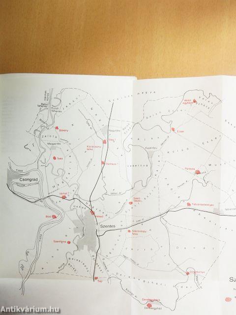 Tanulmányok Csongrád megye történetéből XVI.