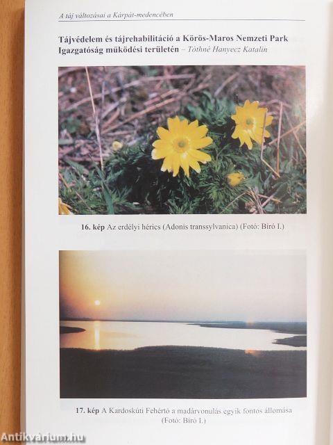 A táj változásai a Kárpát-medencében