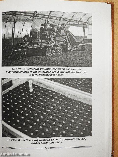 Levélzöldségfélék