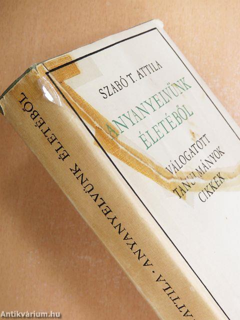 Anyanyelvünk életéből