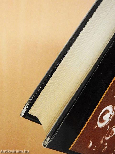 Magyarország külpolitikája 896-1919