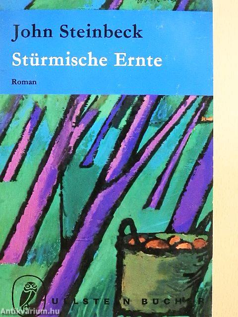 Stürmische Ernte
