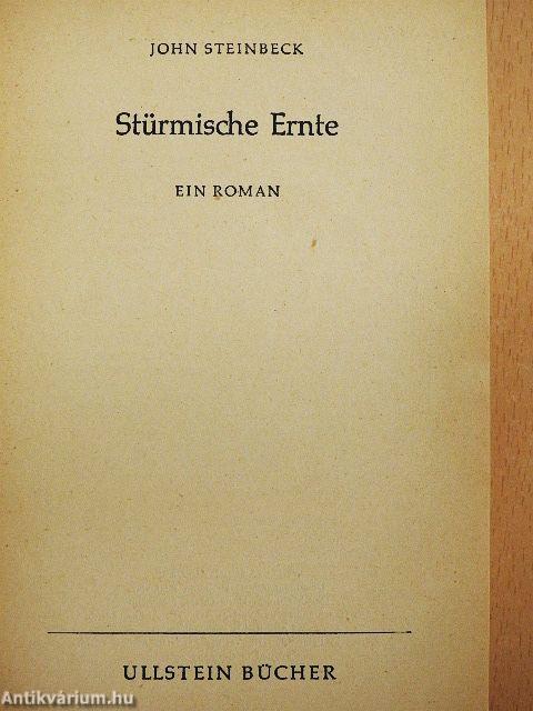 Stürmische Ernte