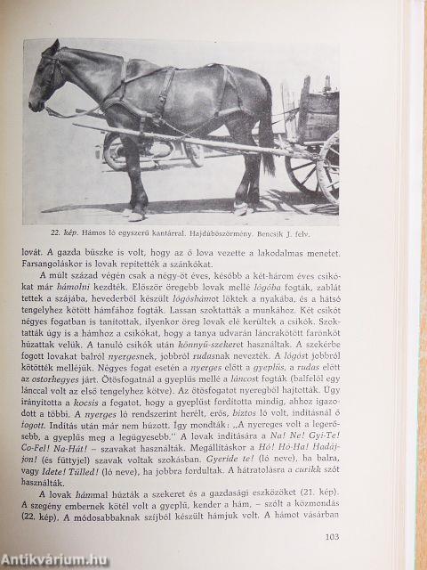 Paraszti állattartás Hajdúböszörményben