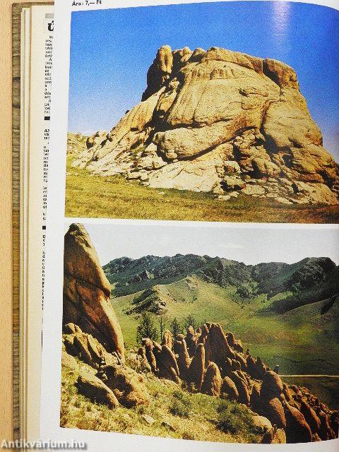 Természet Világa 1979. január-december