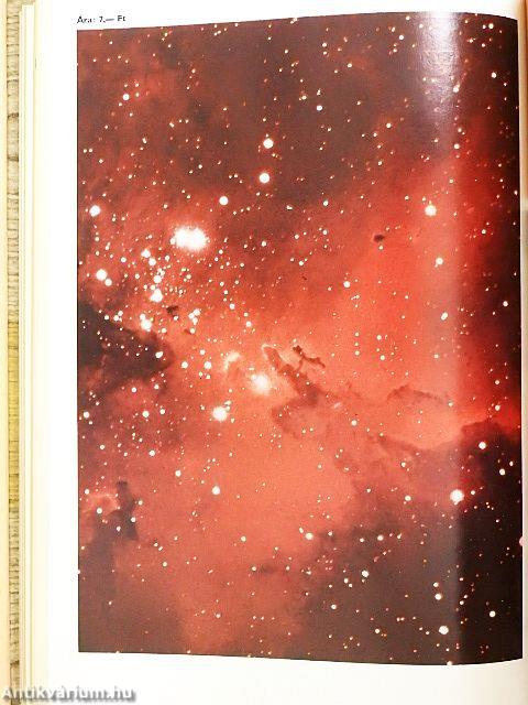 Természet Világa 1979. január-december