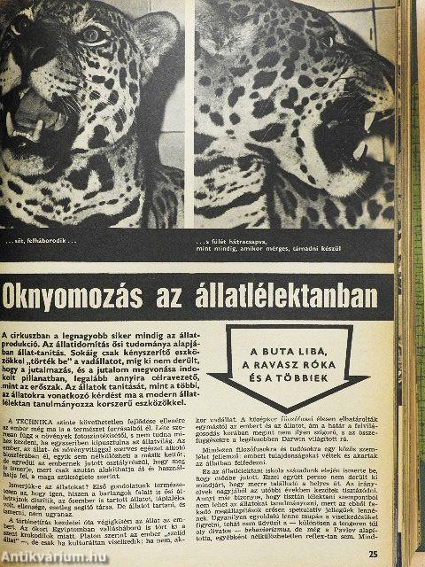 Delta 1969. január-december