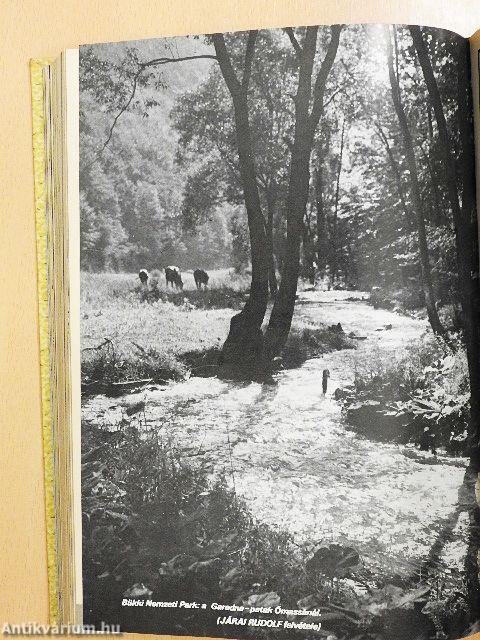 Búvár 1978. január-december