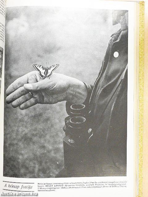 Búvár 1978. január-december