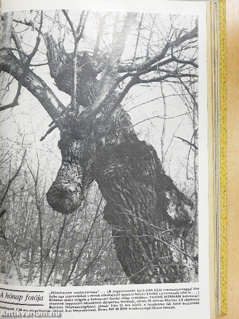 Búvár 1979. január-december