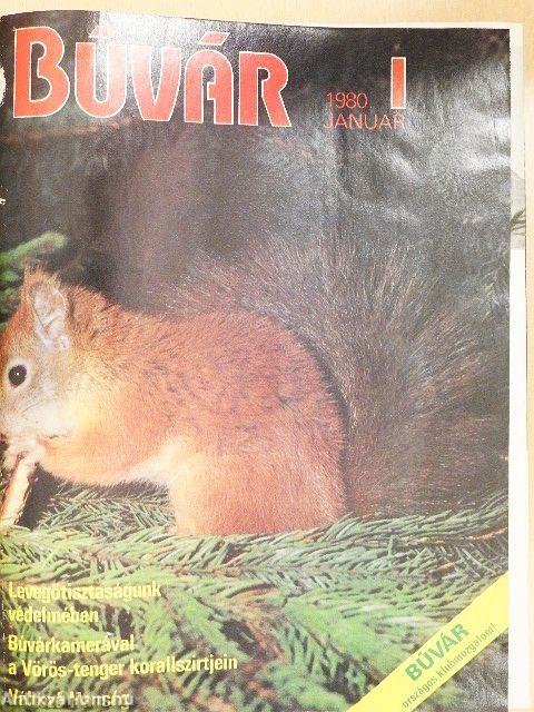 Búvár 1980. január-december