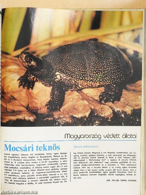 Búvár 1980. január-december