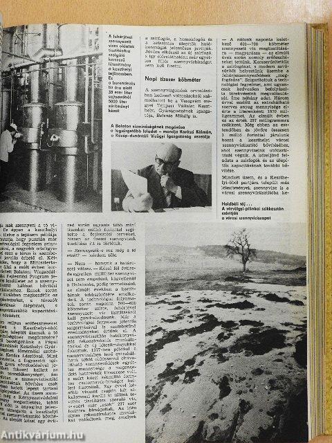 Búvár 1980. január-december