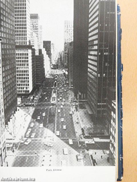 Amerikai Egyesült Államok