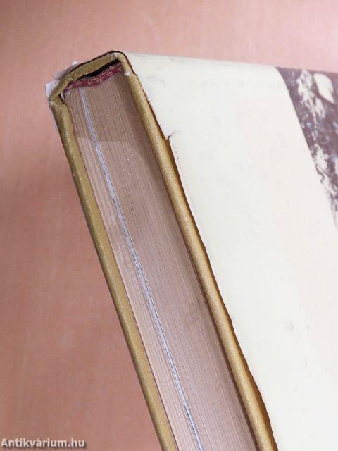 Néprajzi és nyelvjárási tanulmányok