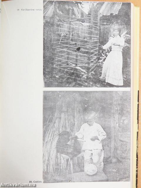 Néprajzi és nyelvjárási tanulmányok