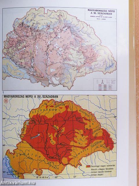 Nemzetiségek a történelmi Magyarországon
