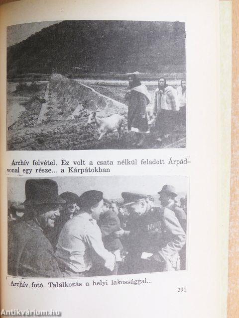 Egyetlen bűnük magyarságuk volt