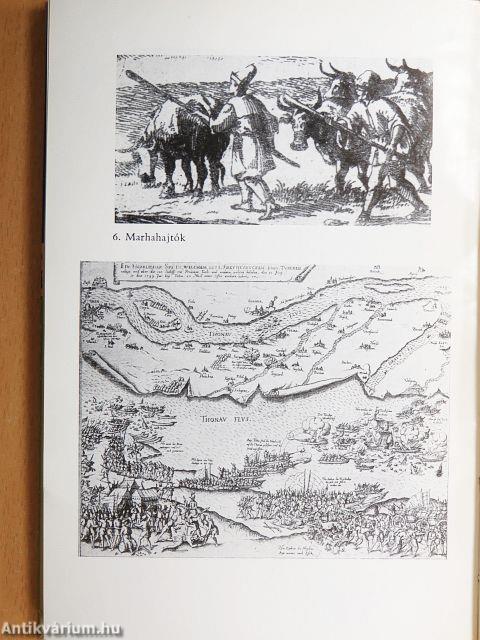 Harács-szedők és ráják