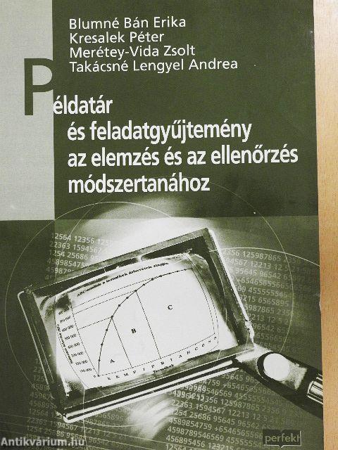 Példatár és feladatgyűjtemény az elemzés és az ellenőrzés módszertanához