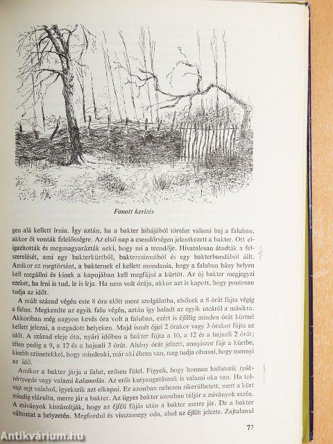 A beregdaróci emberek élete a századfordulón