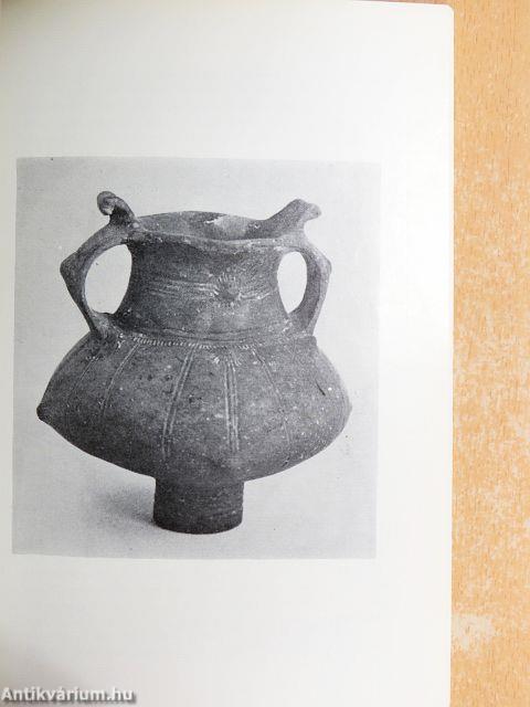 A Zentai Múzeum állandó kiállításának vezetője