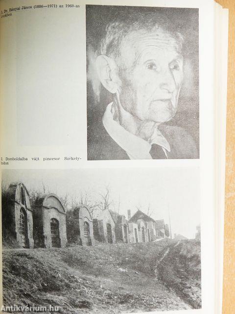 Népismereti dolgozatok 1981